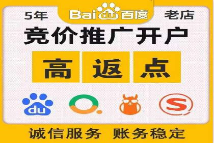 百度竞价开户的五大成功案例：如何进行精准投放？